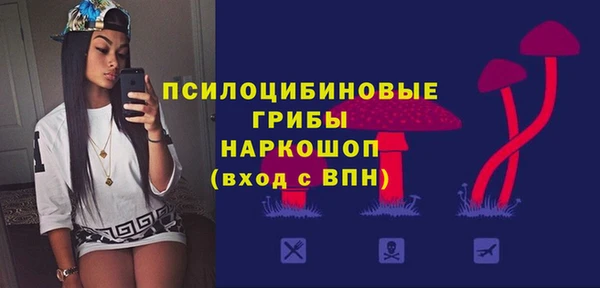первитин Ладушкин