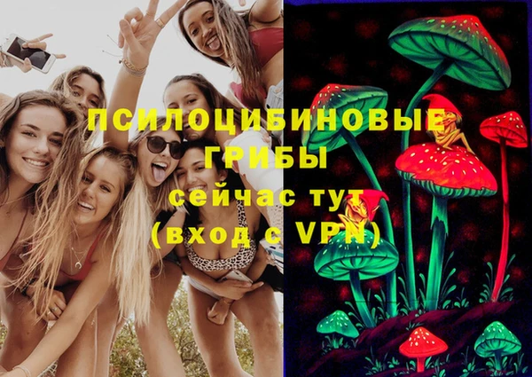 первитин Ладушкин