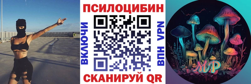 Псилоцибиновые грибы Cubensis  Жуковский 
