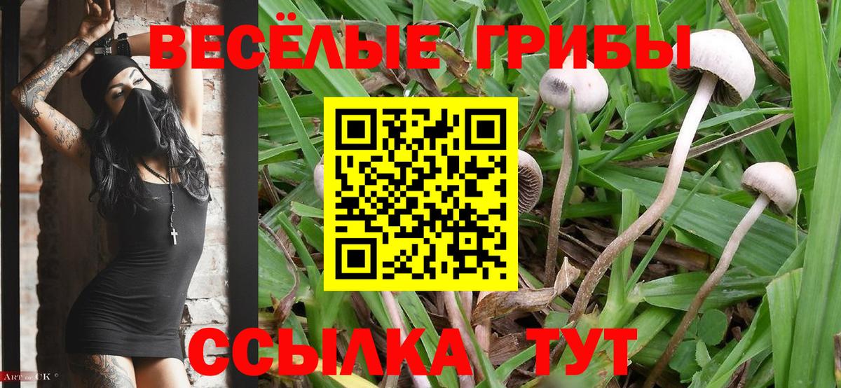 Галлюциногенные грибы мицелий  Галлюциногенные грибы Magic Shrooms  Жуковский 